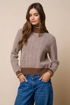 Contrast Trim Turtleneck Knit Sweater