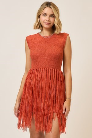 Talia Fringe Dress